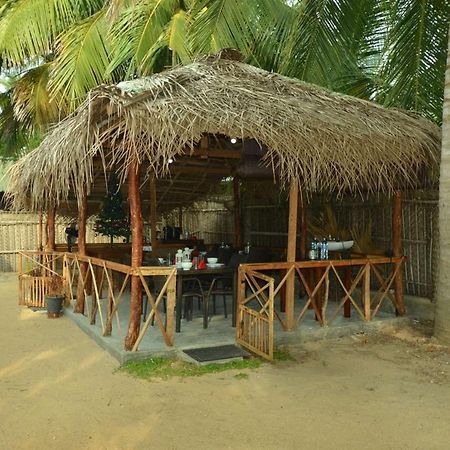 The Araliya Retreat Bed & Breakfast คัลพิทิยา ภายนอก รูปภาพ